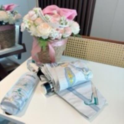 wholesale quality hermes umbrella model no. 4